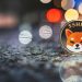 How To Buy Shiba Inu Coin: 6 Easy Steps | Seeking Alpha