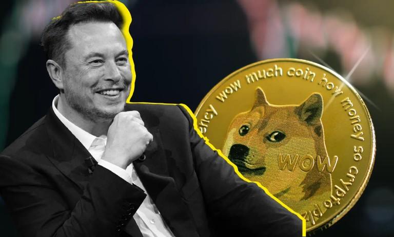 ایلان ماسک و تاثیر آن بر نوسان قیمت دوج کوین