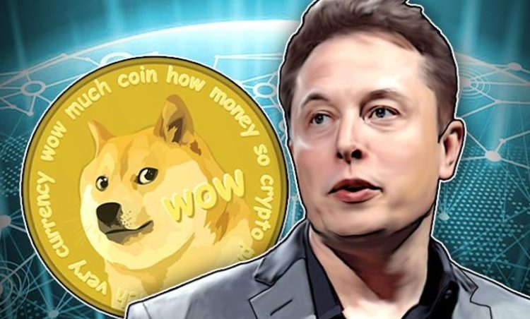 ایلان ماسک و دوج کوین