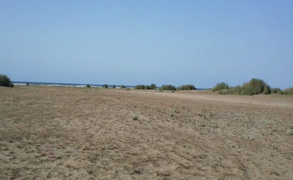 خرید زمین هکتاری در کردان